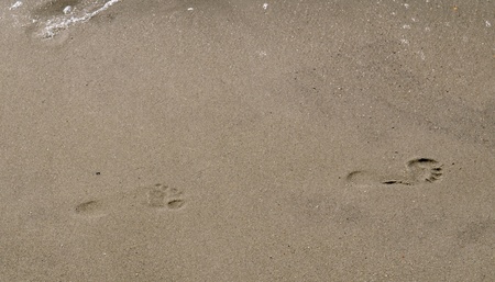 Footsteps In The Sand