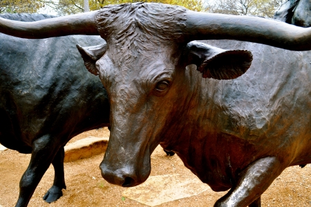 Waco statue longhorn closeupの写真素材