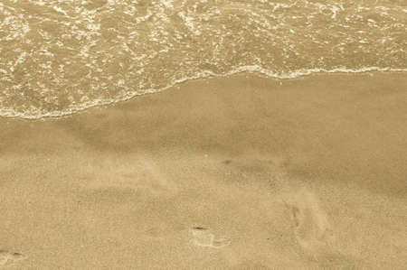 In the Sandの写真素材