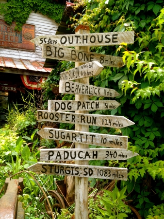 Rabbit Hash Directional Signのeditorial素材