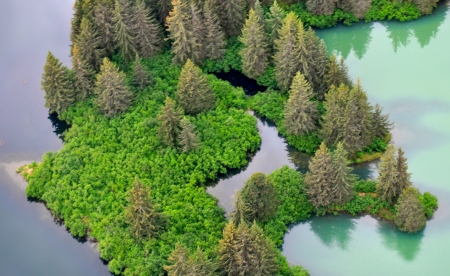  Tree Island
の写真素材