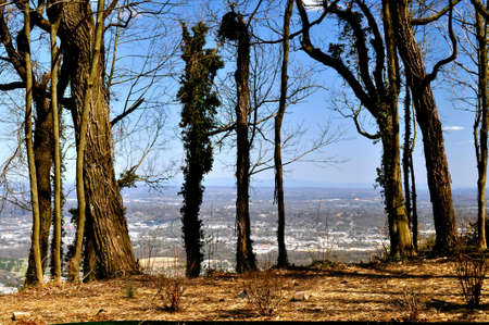 Point Park Overlookの写真素材