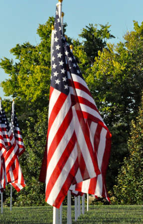American Flags all in a row