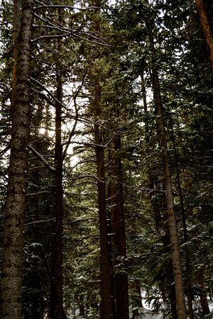 Rocky Mountain National Park, USAの写真素材