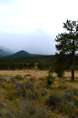 Rocky Mountain National Park, USAの写真素材