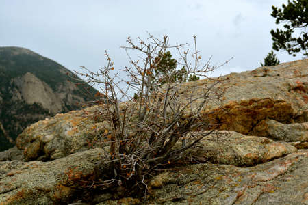 Rocky Mountain National Park, USA