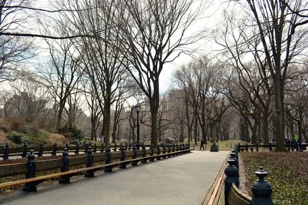 Central Park in New York Cityのeditorial素材