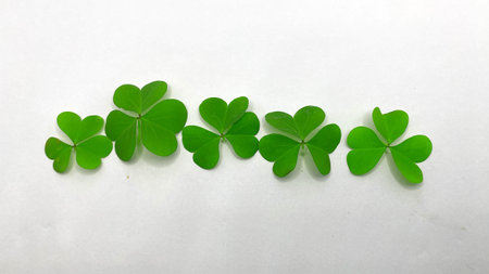A close-up shot of several clover leaves with white background
