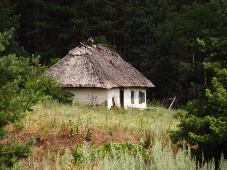 Abandoned house with thatched roof in the woodsの写真素材