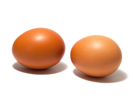 Macro view of brown  eggs on the white backgroundの写真素材