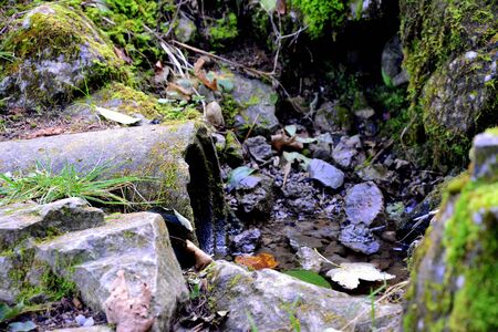 Creekの写真素材