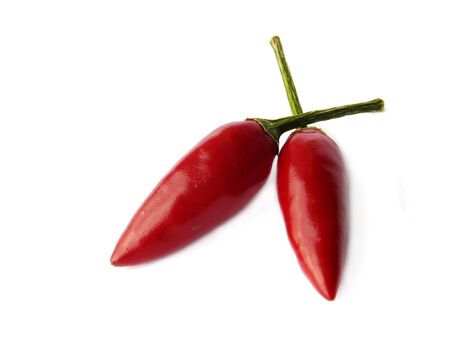 Red chili pepper