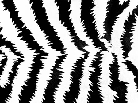 Zebra skin pattern on leather backgroundの写真素材