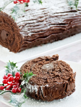 Homemade christmas chocolate yule log. Shallow dof.の写真素材