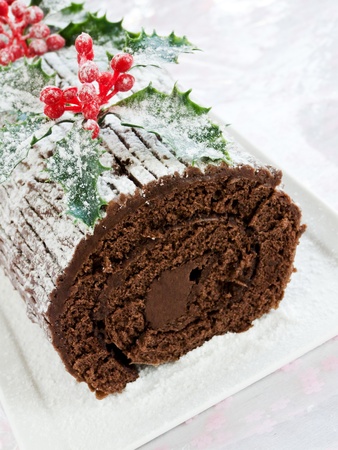 Homemade christmas chocolate yule log. Shallow dof.の写真素材