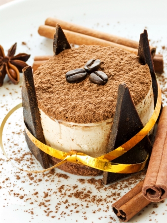 Plate with delicious tiramisu dessert. Shallow dof.の写真素材