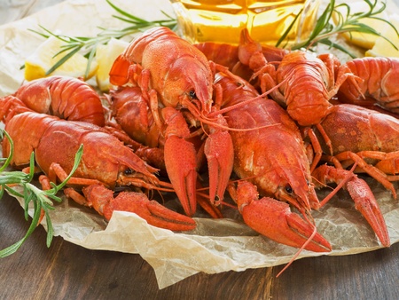 Beer, boiled crawfish with lemon and rosemary. Shallow dof.の写真素材