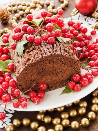 Homemade christmas chocolate yule log with wild berries. Shallow dof.の写真素材