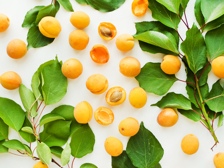 Sweet apricots on the white background. Shallow dof.の写真素材