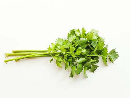 Fresh lovage celery stems with leaves on white wooden background. Shallow dof.の写真素材