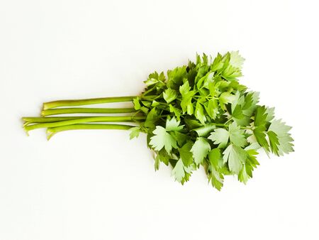 Fresh lovage celery stems with leaves on white wooden background. Shallow dof.の写真素材