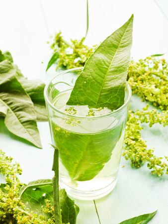 Horse sorrel drink on wooden background. Shallow dof.の写真素材