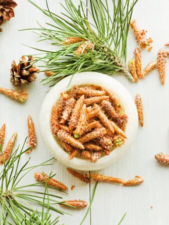 Pine cones and needles on white wooden background. Shallow dof.の写真素材