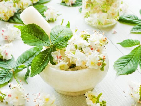 Horse chestnut leaves flowers tea on wooden background. Shallow dof.の写真素材