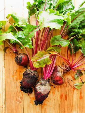 Fresh beetroots on the wooden background. Shallow dof.の写真素材