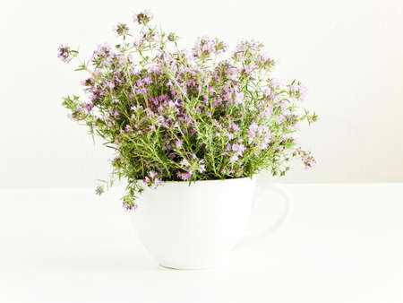 Wild thyme oregano spice on white wooden background. Shallow dof.