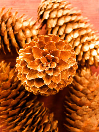Golden pine cone Christmas festive background. Shallow dof.の写真素材