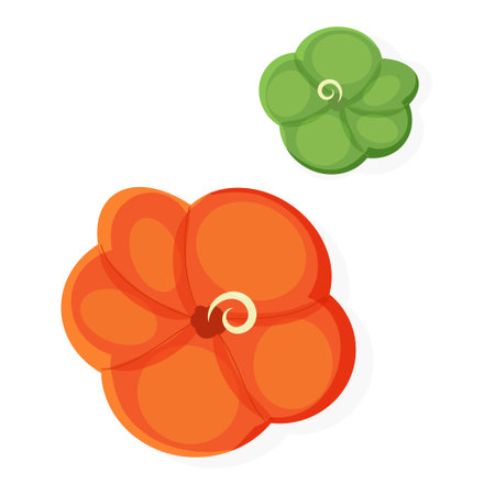 Green and orange pumpkins vector illustration flat.のイラスト素材