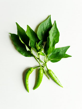 Green chili peppers on white wooden background. Shallow dof.の写真素材