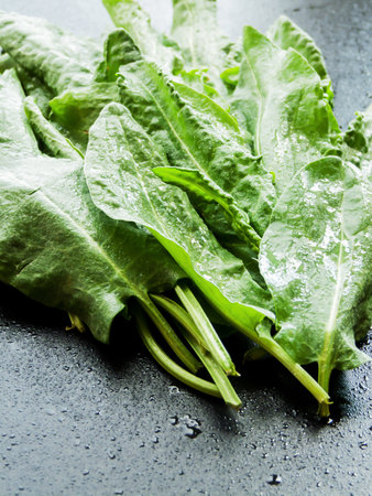 Seasonal diet and nutrition, healthy eating concept. Pile of fresh green spinach sorrel leaves on the wooden table background, top view bunch of greens on the table with water drops.の写真素材