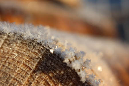wood with ice crystals on itの写真素材