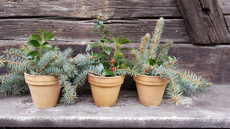 simple rustic christmas decoration outdoorの写真素材