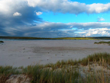 beach by the ocean with grass on dunes and blue sky