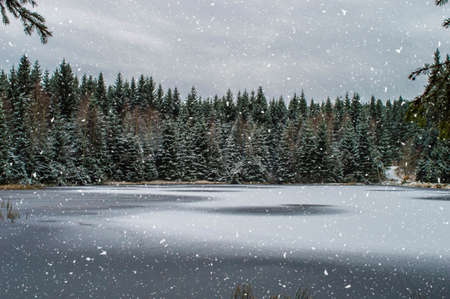 frozen lake in snow covered forest in december landscape backgroundの写真素材