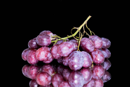 isolated grapeの写真素材