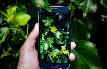 technology and natureの写真素材