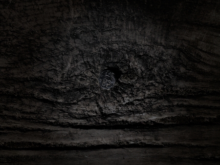Dark Wood Background; photo taken of a surface and edited to a dark and sullen background, useful for different applicationsの写真素材