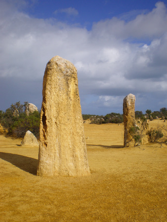 The Pinnacles in the Nambung National Park in Western Australiaの写真素材
