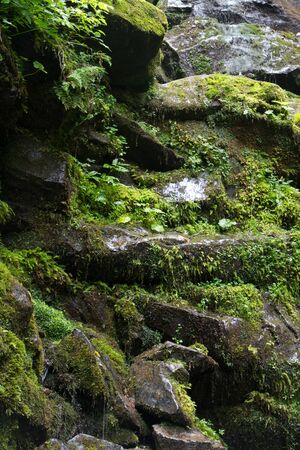beautiful view of a waterfall in the mountains , in the foreground the grass among stones . summerの写真素材
