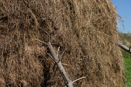 view of a hay bundle, clouse up