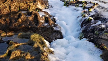 summer, beauty, water, river, natural, stone, green, algaeの写真素材