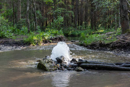 Gatchina Geysers, Gatchina, forest, Russiaの写真素材