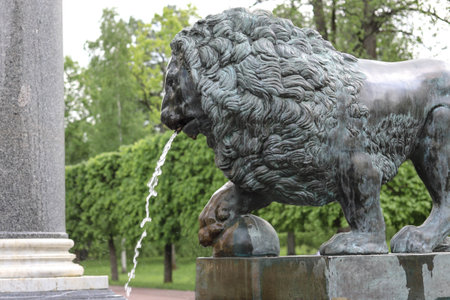 Peterhof, Russia-April 20, 2021: fountain in the form of a lion. water pours out of the lion's mouth. the puking lion.のeditorial素材