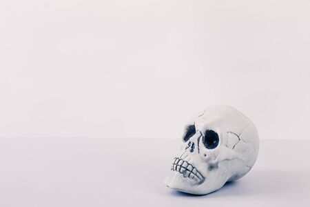 White Halloween skull toyの写真素材