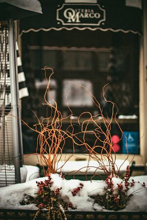 Snow and sunny day in Denver city. Downtown streets with snow. Financial district on a snow day.の写真素材