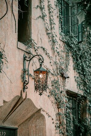 Title: Ivy on the wall of the house. Autumn leaves ivy on the vintage windows. Red, yellow and green leaves.の写真素材